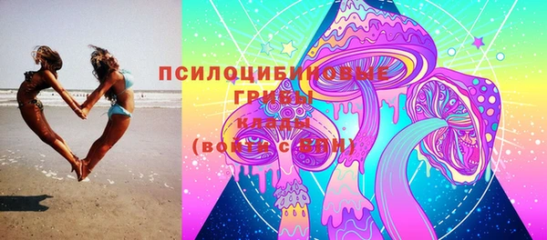 спиды Алзамай