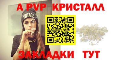 СК Тула