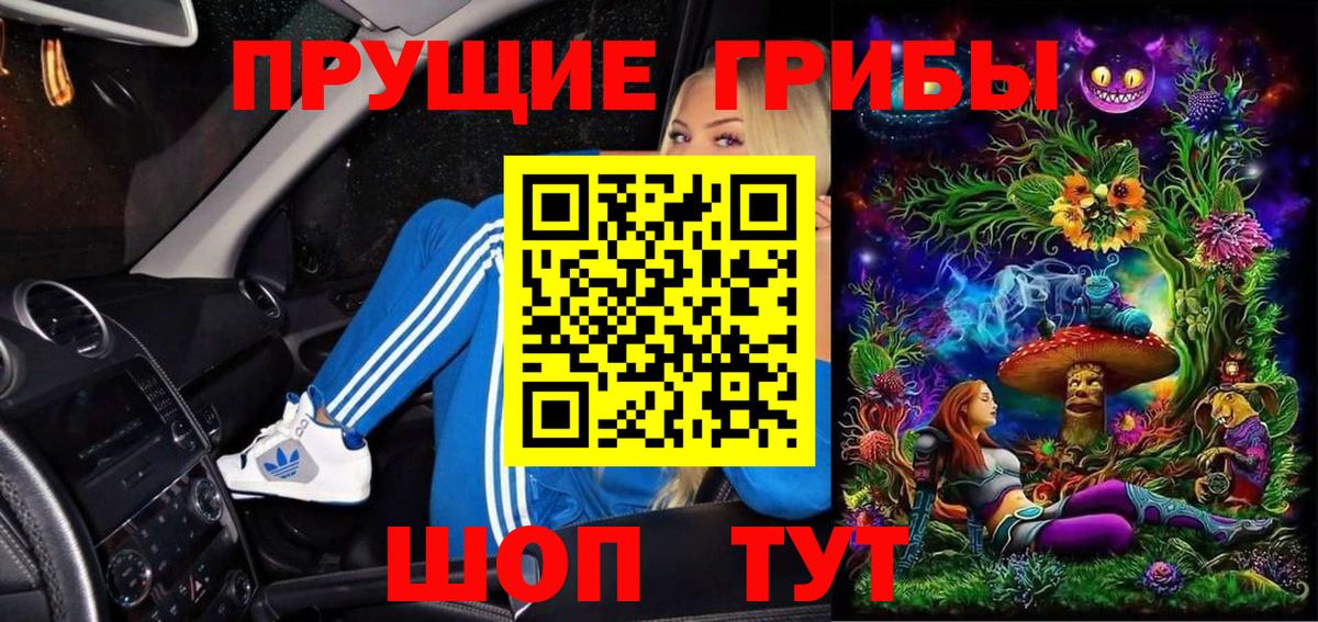 Галлюциногенные грибы прущие грибы  Вход с VPN  Псилоцибиновые грибы Psilocybine cubensis  Лесной 