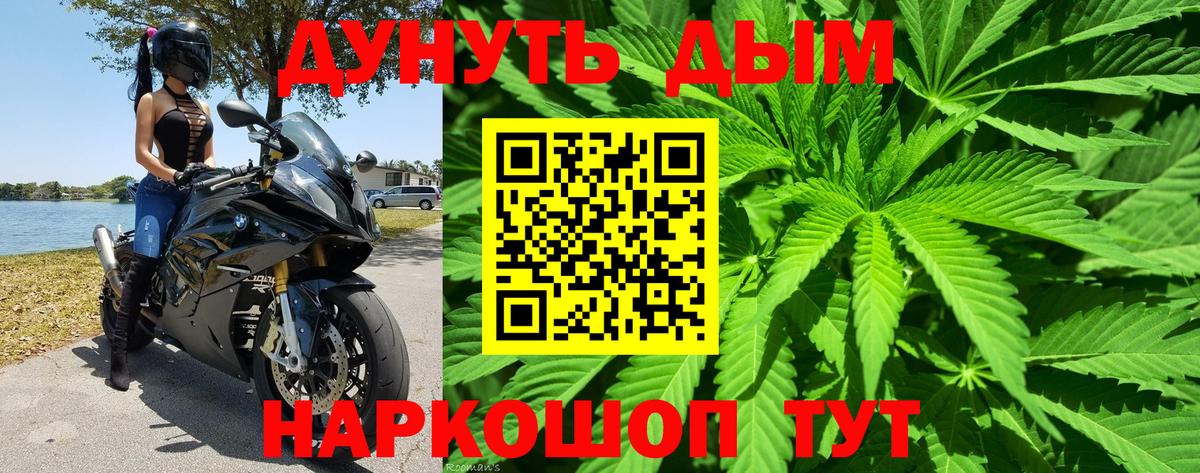 Бошки марихуана White Widow Лесной