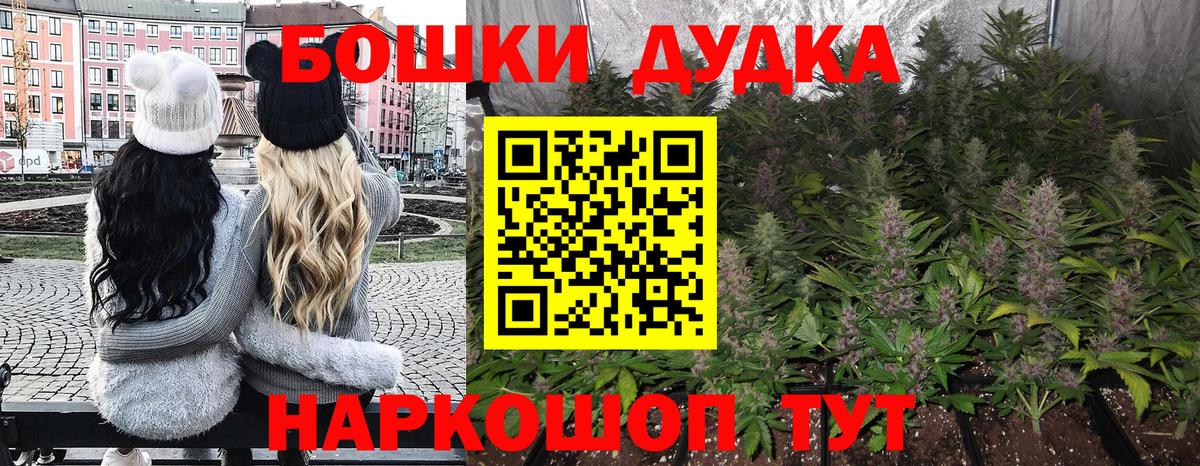 Каннабис гибрид  Вход с VPN  Каннабис Bruce Banner  Лесной 